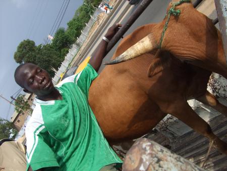 preparation du gamou prevu le 09/Aout 2008